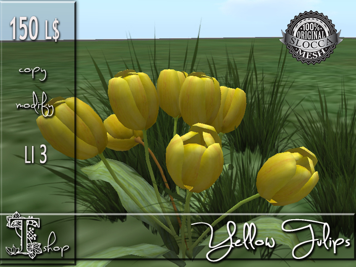 Yellow Tulips MC