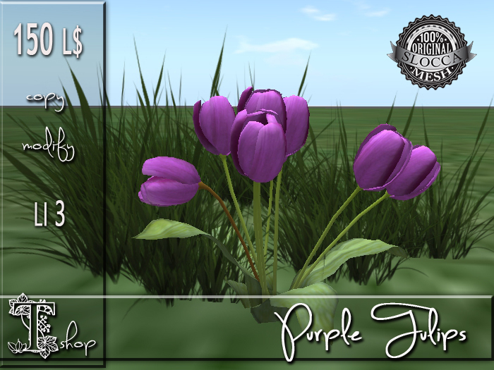 Purple Tulips MC