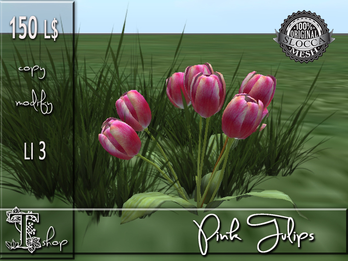 Pink Tulips MC