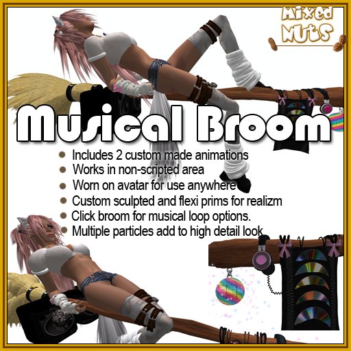 MN - Musical Broom 