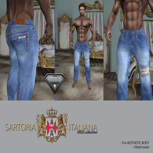 SARTORIA ITALIANA - Denim for AESTHETIC Body