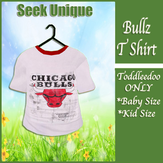 TD BULLZ