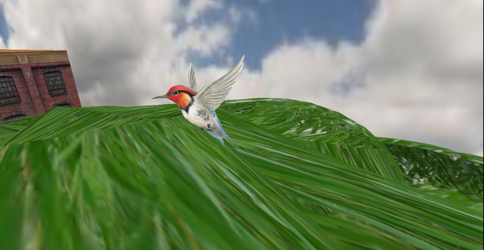 WZ Humming bird 2 with birdsongs