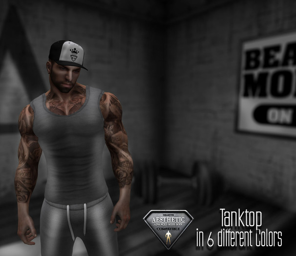 (NIRAMYTH) - AESTHETIC Tanktop light Grey