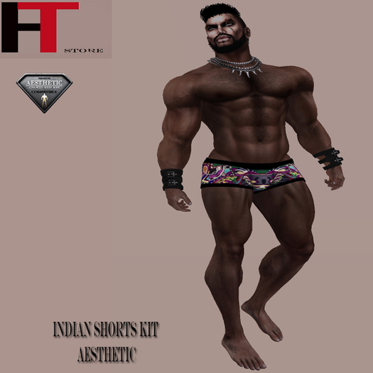 (H-T) INDIAN SHORT KIT AESTHETIC  BAG