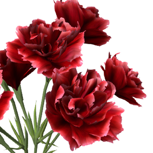 [AG] Carnation - Full Perm Mesh Kit