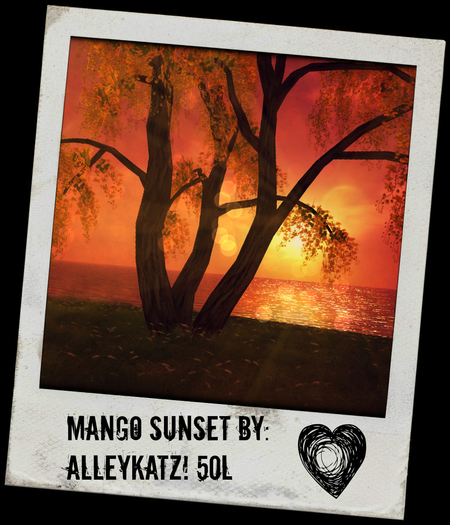 Mango Sunset AlleyKatz - BOXED