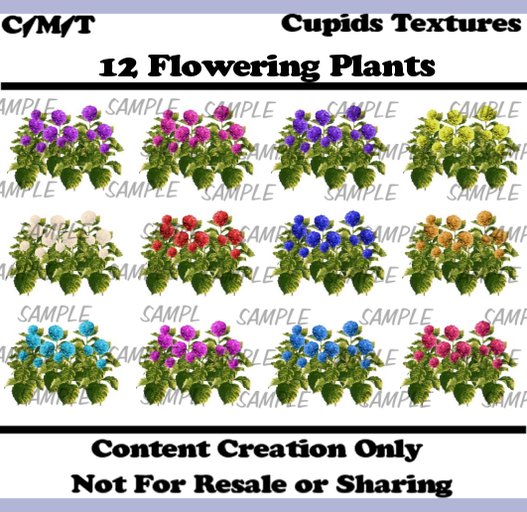 12 flowering plants textures