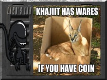 Khajiit Bumper