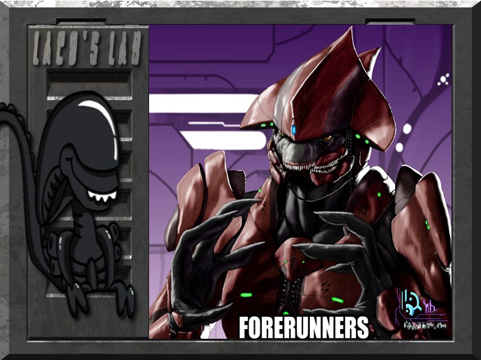 :LL: Sangheili Bumper