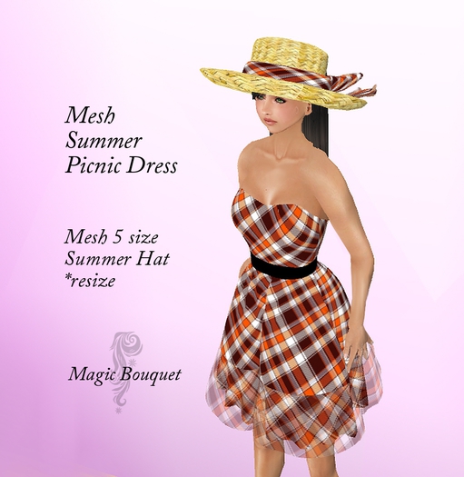 35-2 Mesh Summer Picnic Dress Box