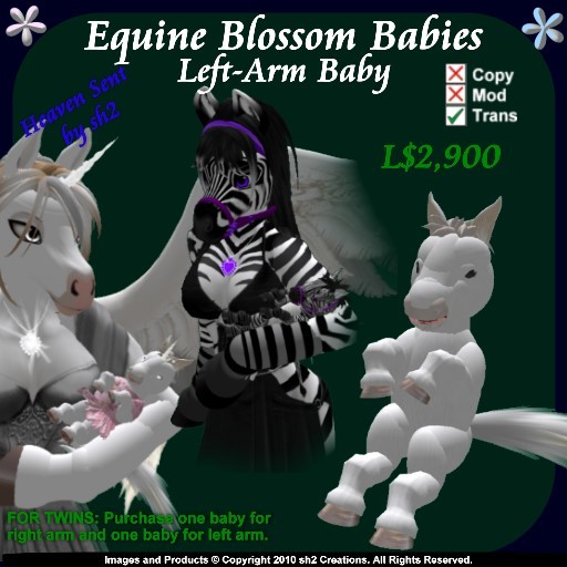 sh2 Equine Blossom Baby Left v2.1