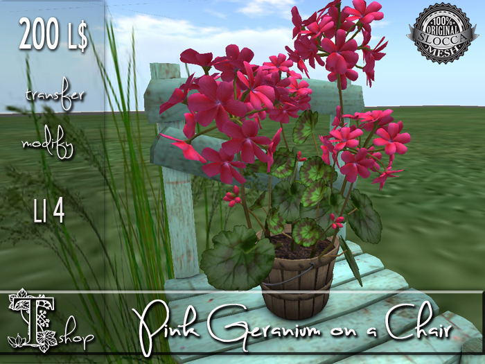 Pink Geranium on a Chair MT