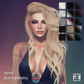 TRUTH HAIR Randa (Mesh Hair) - black & whites