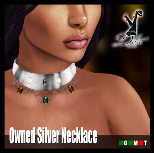 :::DC::: Owned Necklace (Silver)