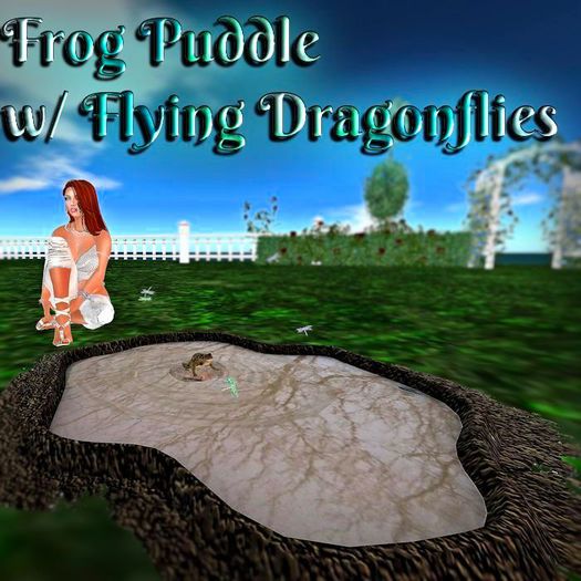 Frog Puddle & dragonflies 3LI