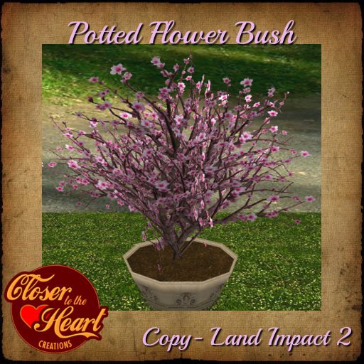 Potted Flower Bush-Pink BOXED