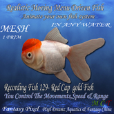 Realistic Moving Menu Driven Fish YOU CONTROL - Recording fish 129- Red Cap gold Fish