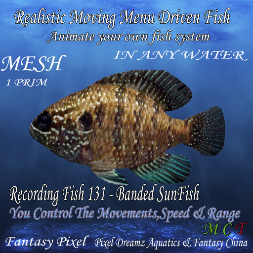 Realistic Moving Menu Driven Fish YOU CONTROL - 131 - Banded SunFish