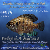 Realistic Moving Menu Driven Fish YOU CONTROL - 131 - Banded SunFish