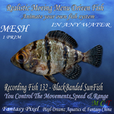 Realistic Moving Menu Driven Fish YOU CONTROL - Recording fish 132 - BlackBanded SunFish
