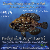 Realistic Moving Menu Driven Fish YOU CONTROL - Recording fish  134 - Bluespotted SunFish