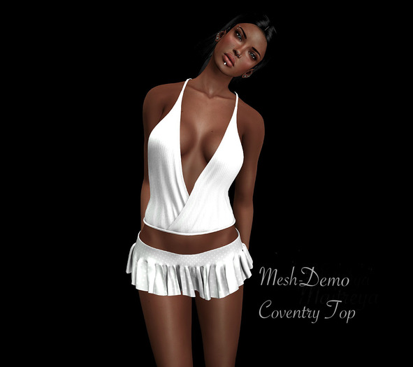 ::NET::DEMO Coventry Top Mesh