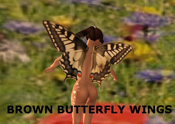 Brown Butterfly wings