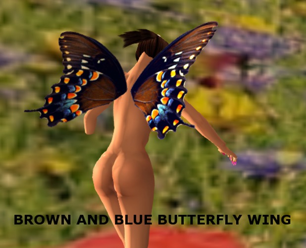 Brown and Blue Butterfly wings