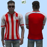 PARAGUAY 2015 shirt (MESH)