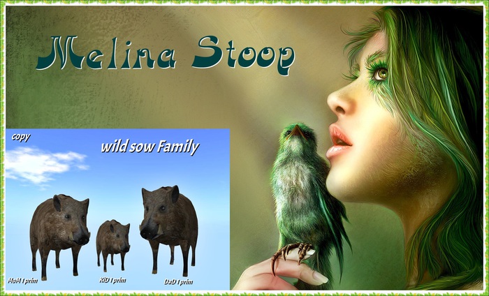 wild sow  Family  ( MP )