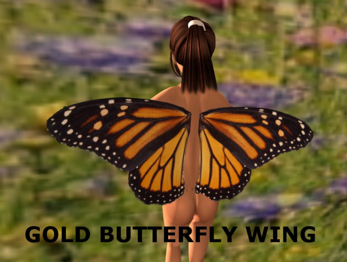 Gold Butterfly Wings