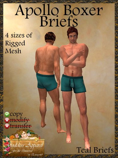*Goddess* Apollo Boxer Briefs Teal