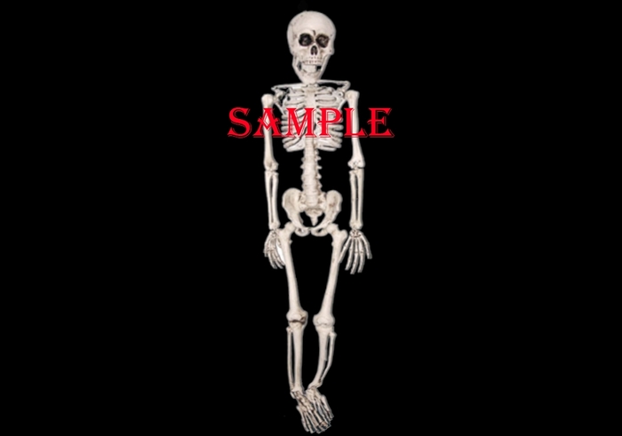 Lifesize Skeleton (Flexi)