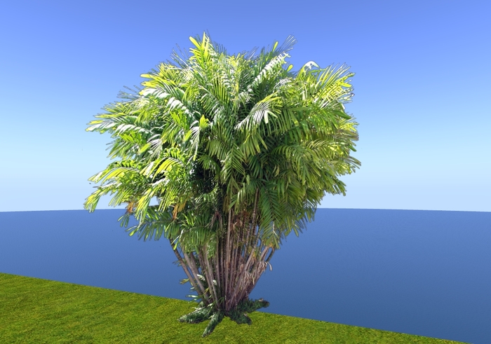 Tropical Palm Tree Cluster (Flexi)