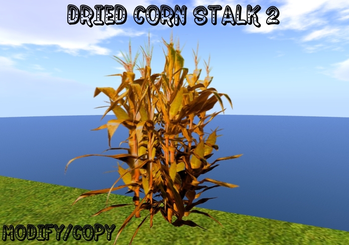 Dried Corn Stalk 2 (Flexi)