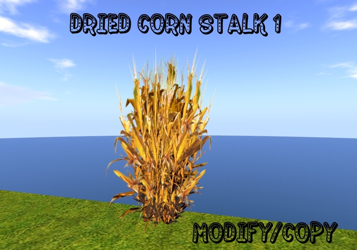 Dried Corn Stalk 1 (Flexi)