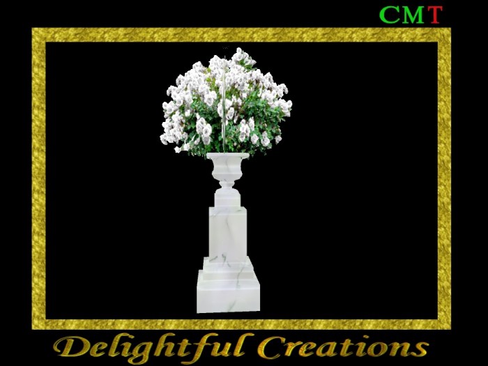 Rubberplant in Vintage pot