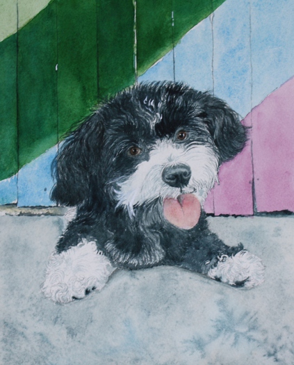 Winnie the Pup