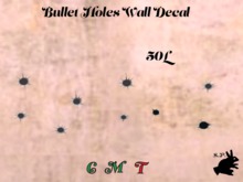S.P. Bullet Holes 1 Decal