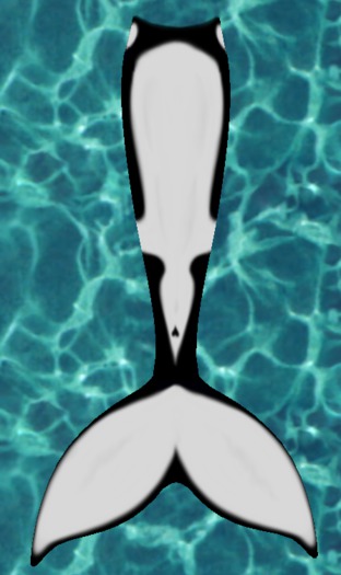 Orca 5Joints Mermaid mod