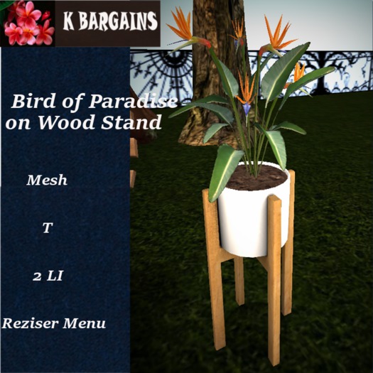 *KB* Bird of Paradise on Wood Stand Pot Box
