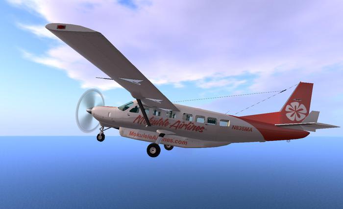 Mokulele Grand Caravan paint