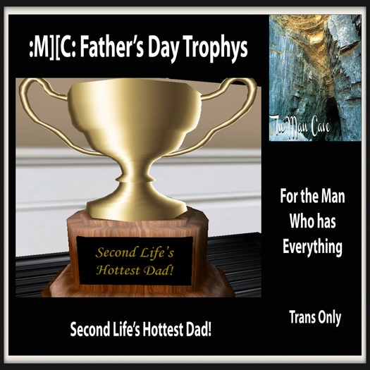 :M][C: Hottest Dad Trophy