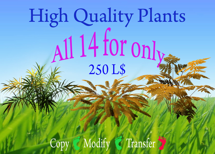 14 High Quality Plants