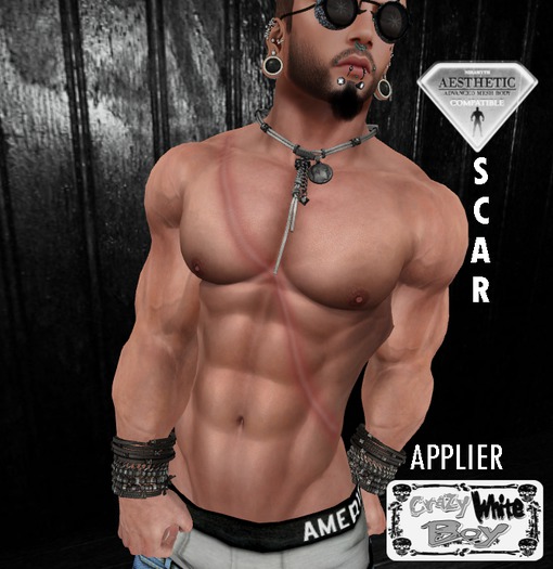 CWB~Phoenix Tattoo( packaged add)