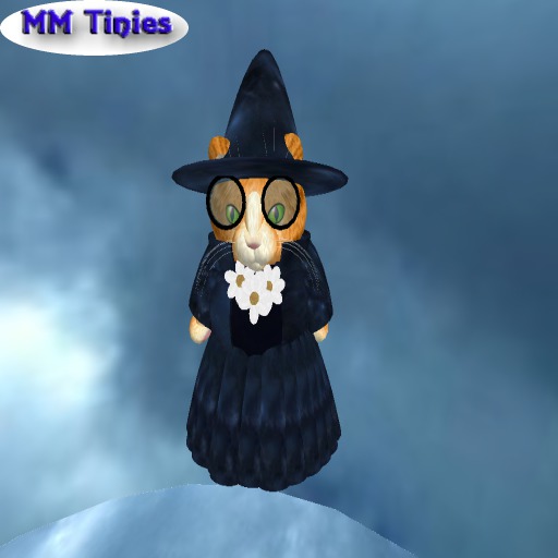 MM Tinies Lady Wizard Set
