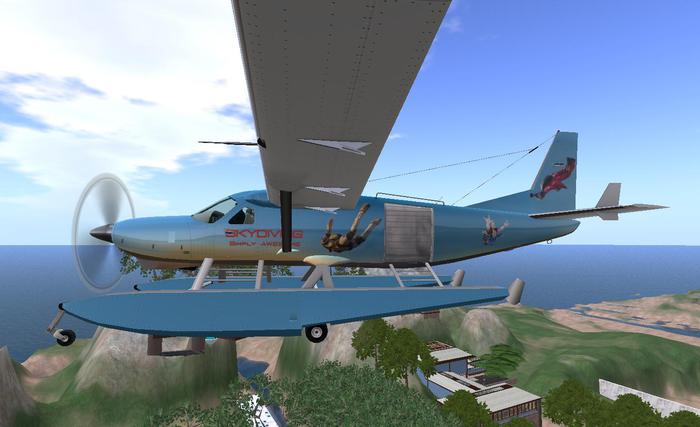 Paint Skydiving Grand Caravan