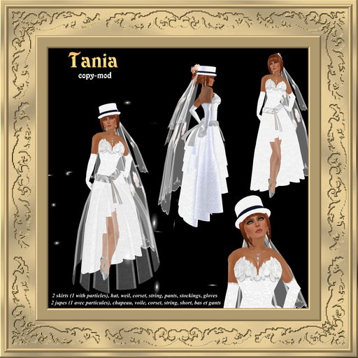 Bte Tania wedding gown