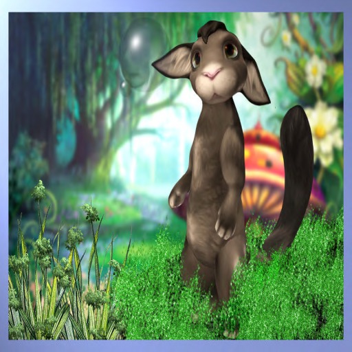 Meeroo Nest ID #5065208